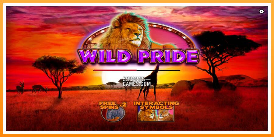 ลองสัมผัสเครื่องดูครับ Wild Pride, รูปภาพ 1: เล่นเพื่อเงิน