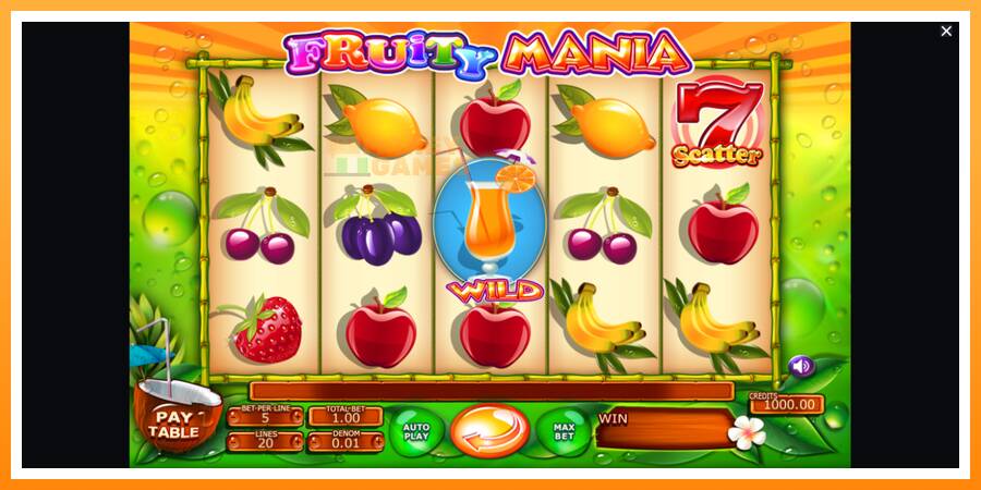 ลองสัมผัสเครื่องดูครับ Fruity Mania, รูปภาพ 1: เล่นเพื่อเงิน