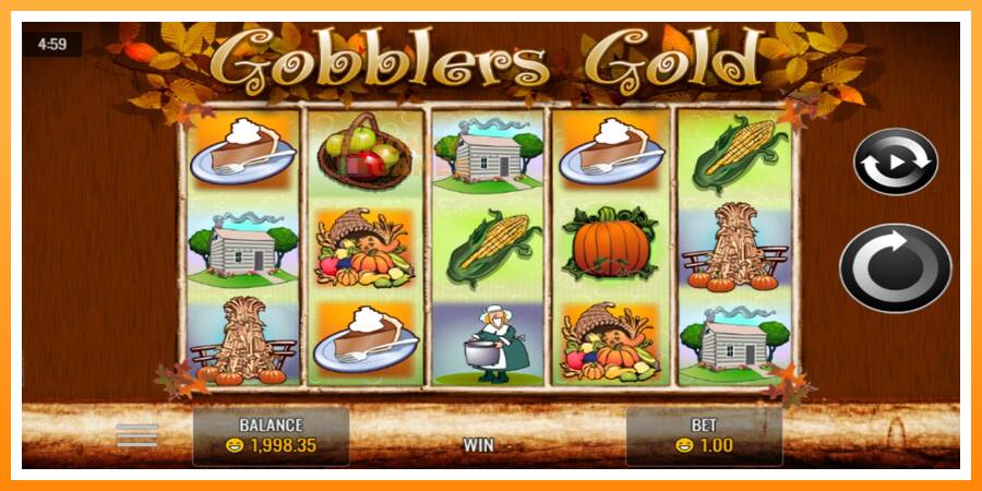 ลองสัมผัสเครื่องดูครับ Gobblers Gold, รูปภาพ 1: เล่นเพื่อเงิน