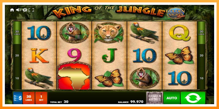 ลองสัมผัสเครื่องดูครับ King of the Jungle Golden Nights, รูปภาพ 1: เล่นเพื่อเงิน