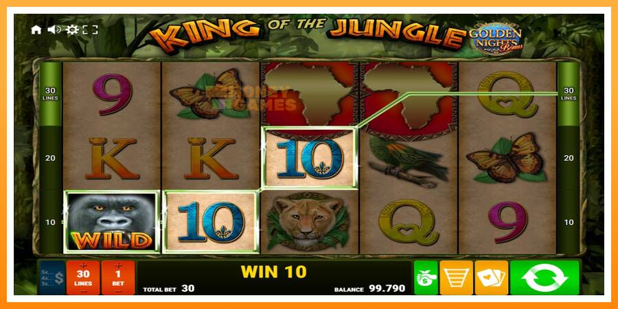 ลองสัมผัสเครื่องดูครับ King of the Jungle Golden Nights, รูปภาพ 2: เล่นเพื่อเงิน