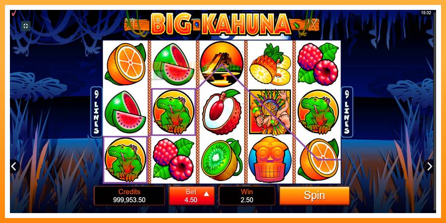 ลองสัมผัสเครื่องดูครับ Big Kahuna, รูปภาพ 2: เล่นเพื่อเงิน