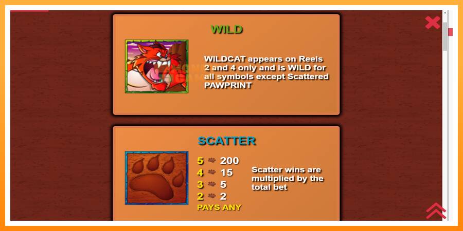 ลองสัมผัสเครื่องดูครับ Wildcat Canyon, รูปภาพ 5: เล่นเพื่อเงิน