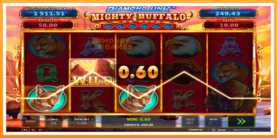 ลองสัมผัสเครื่องดูครับ Diamond Link Mighty Buffalo, รูปภาพ 2: เล่นเพื่อเงิน