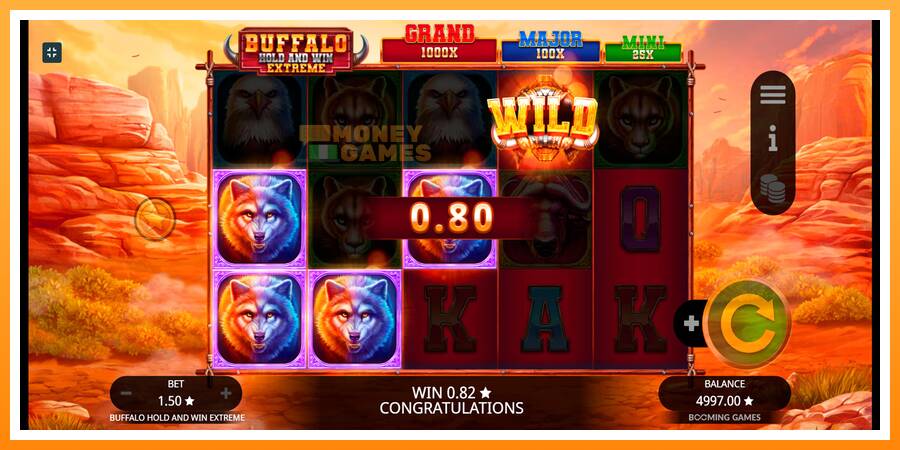 ลองสัมผัสเครื่องดูครับ Buffalo Hold and Win Extreme, รูปภาพ 2: เล่นเพื่อเงิน