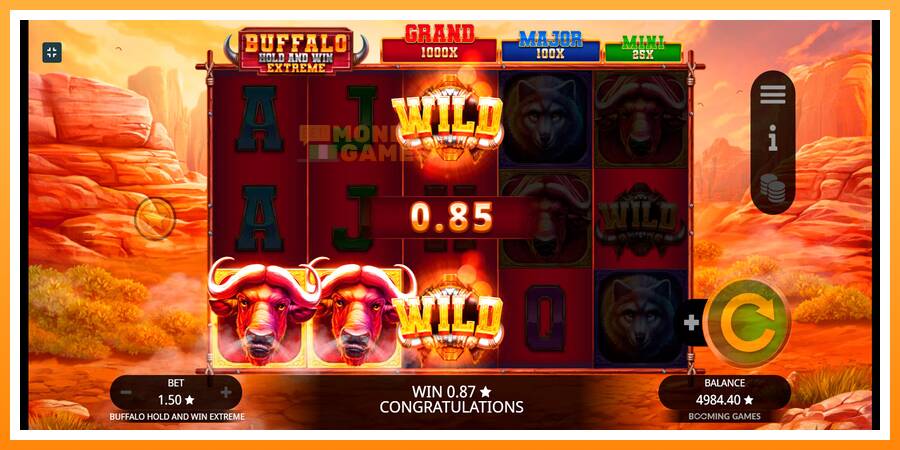 ลองสัมผัสเครื่องดูครับ Buffalo Hold and Win Extreme, รูปภาพ 6: เล่นเพื่อเงิน