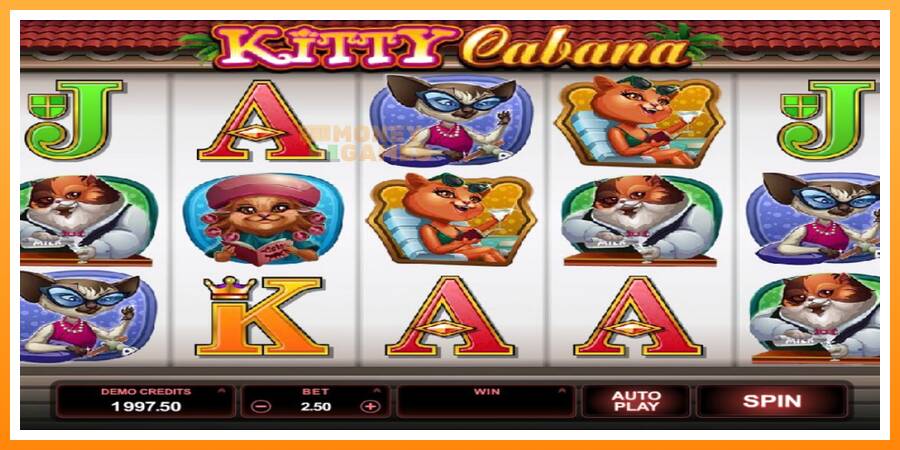 ลองสัมผัสเครื่องดูครับ Kitty Cabana, รูปภาพ 2: เล่นเพื่อเงิน