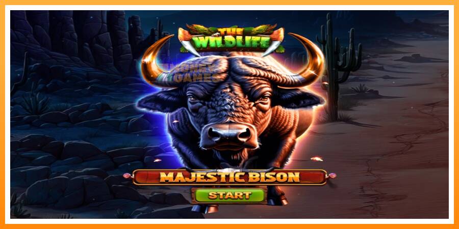 ลองสัมผัสเครื่องดูครับ Majestic Bison, รูปภาพ 1: เล่นเพื่อเงิน