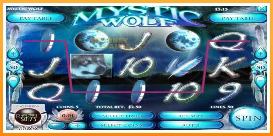 ลองสัมผัสเครื่องดูครับ Mystic Wolf, รูปภาพ 3: เล่นเพื่อเงิน