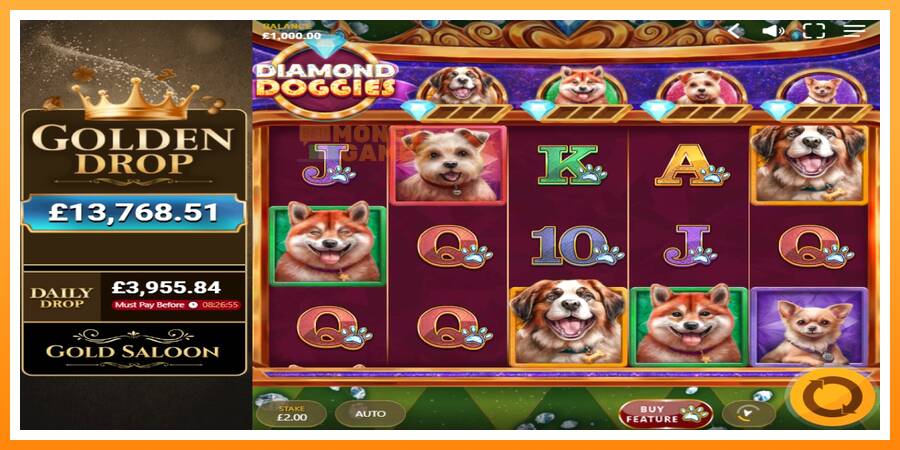 ลองสัมผัสเครื่องดูครับ Diamond Doggies, รูปภาพ 1: เล่นเพื่อเงิน