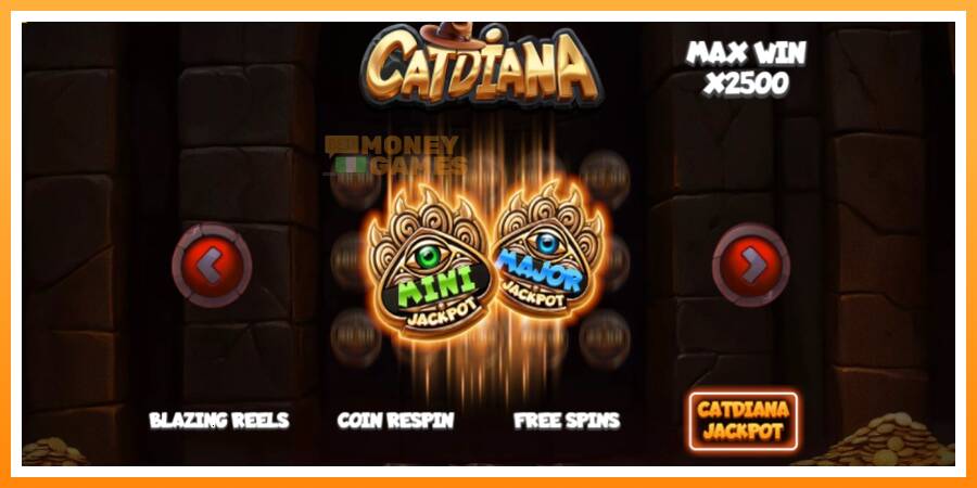 ลองสัมผัสเครื่องดูครับ Catdiana, รูปภาพ 5: เล่นเพื่อเงิน