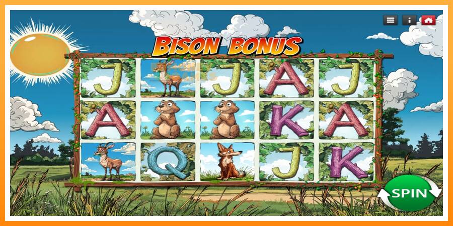 ลองสัมผัสเครื่องดูครับ Bison Bonus, รูปภาพ 1: เล่นเพื่อเงิน