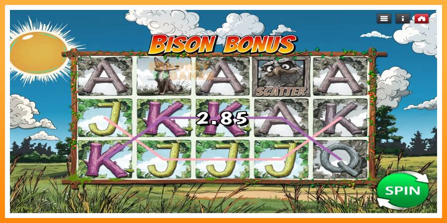 ลองสัมผัสเครื่องดูครับ Bison Bonus, รูปภาพ 2: เล่นเพื่อเงิน