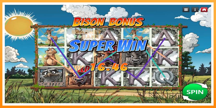 ลองสัมผัสเครื่องดูครับ Bison Bonus, รูปภาพ 3: เล่นเพื่อเงิน