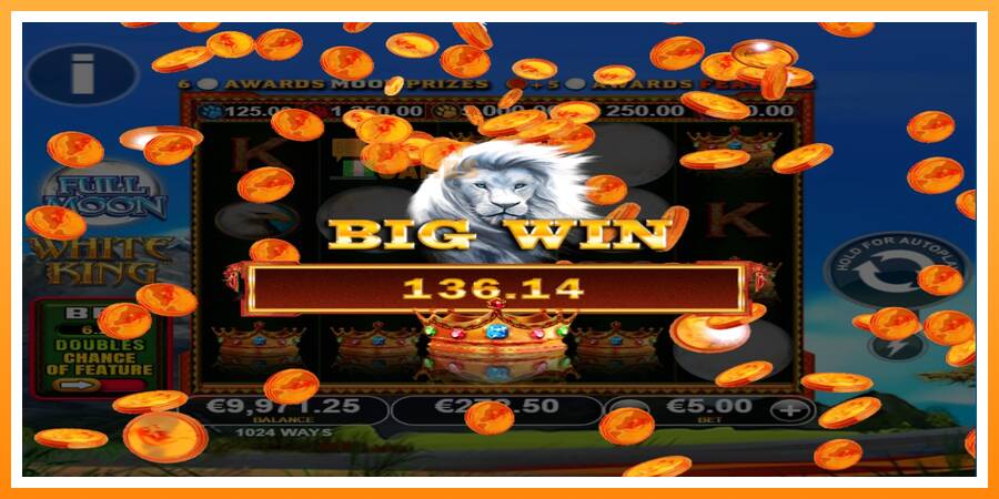 ลองสัมผัสเครื่องดูครับ Full Moon: White King PowerPlay Jackpot, รูปภาพ 4: เล่นเพื่อเงิน