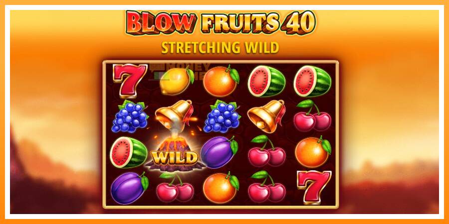 ลองสัมผัสเครื่องดูครับ Blow Fruits 40, รูปภาพ 5: เล่นเพื่อเงิน