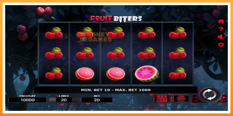 ลองสัมผัสเครื่องดูครับ Fruit Biters, รูปภาพ 1: เล่นเพื่อเงิน