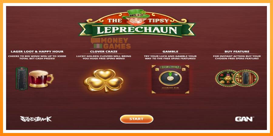 ลองสัมผัสเครื่องดูครับ The Tipsy Leprechaun, รูปภาพ 1: เล่นเพื่อเงิน