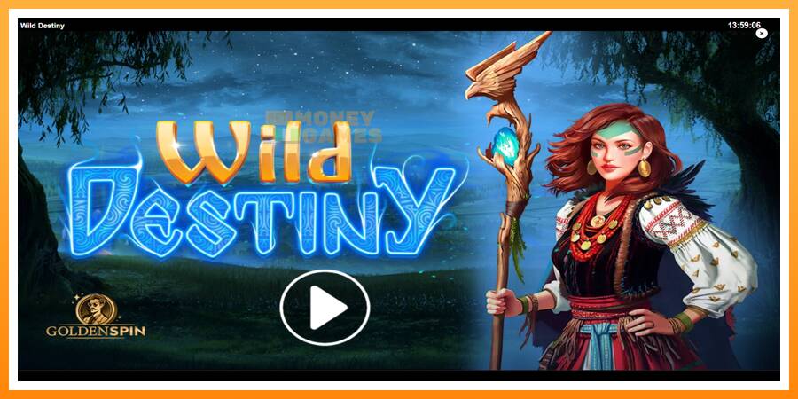 ลองสัมผัสเครื่องดูครับ Wild Destiny, รูปภาพ 1: เล่นเพื่อเงิน