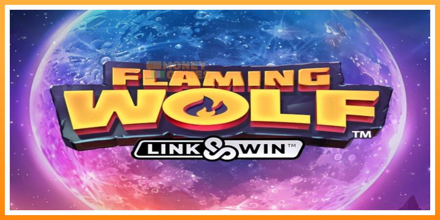 ลองสัมผัสเครื่องดูครับ Flaming Wolf Link & Win, รูปภาพ 1: เล่นเพื่อเงิน