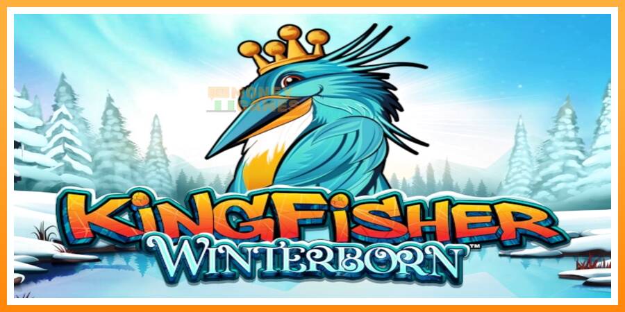 ลองสัมผัสเครื่องดูครับ Kingfisher Winterborn, รูปภาพ 1: เล่นเพื่อเงิน