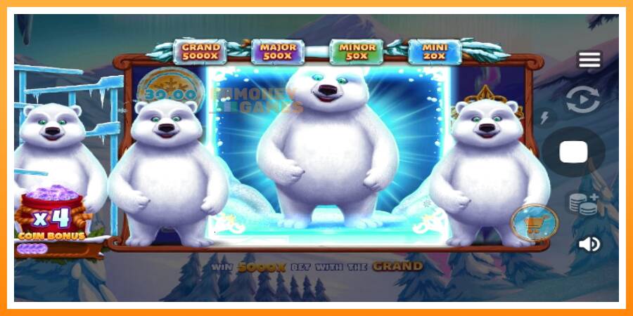 ลองสัมผัสเครื่องดูครับ Polar Bonanza, รูปภาพ 5: เล่นเพื่อเงิน