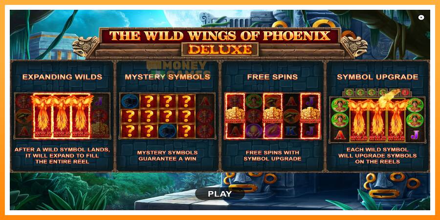 ลองสัมผัสเครื่องดูครับ The Wild Wings of Phoenix Deluxe, รูปภาพ 1: เล่นเพื่อเงิน