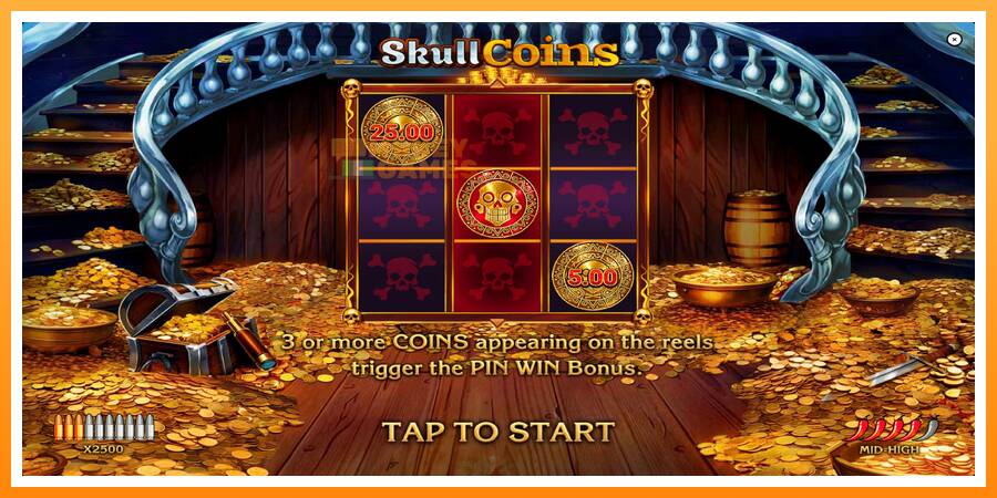 ลองสัมผัสเครื่องดูครับ Skull Coins, รูปภาพ 1: เล่นเพื่อเงิน