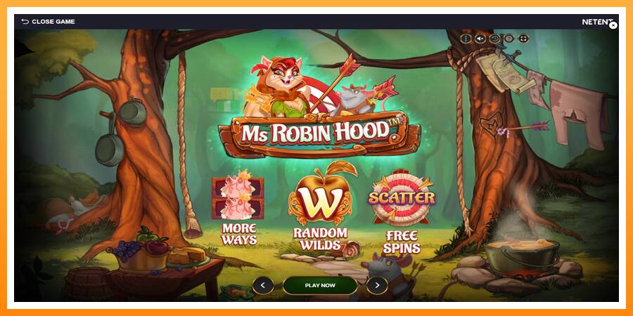 ลองสัมผัสเครื่องดูครับ Ms Robin Hood, รูปภาพ 1: เล่นเพื่อเงิน