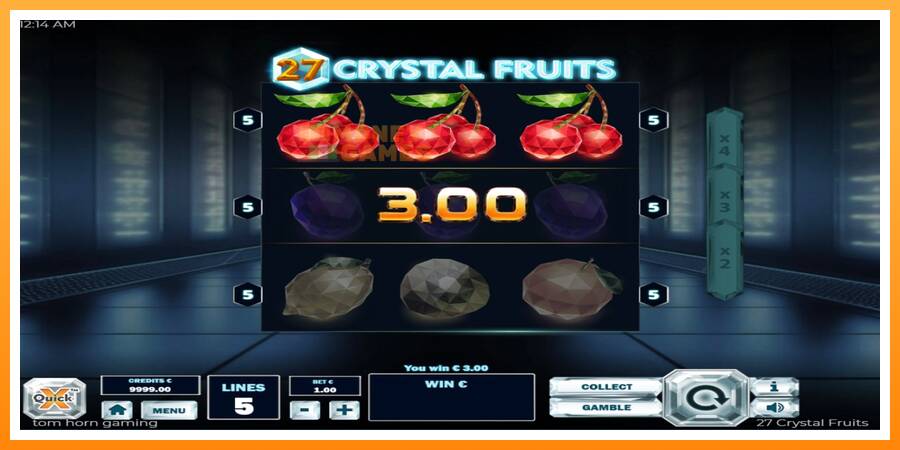 ลองสัมผัสเครื่องดูครับ 27 Crystal Fruits, รูปภาพ 3: เล่นเพื่อเงิน