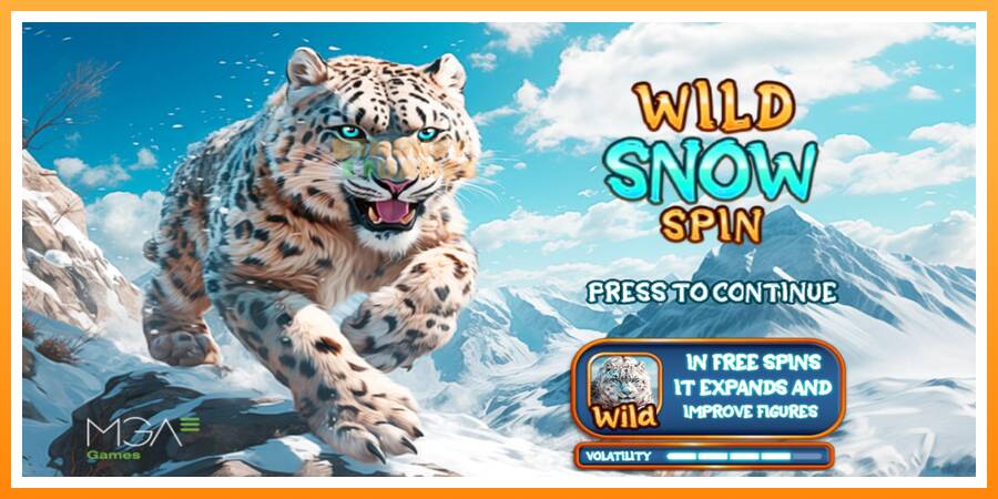 ลองสัมผัสเครื่องดูครับ Wild Snow Spin, รูปภาพ 1: เล่นเพื่อเงิน