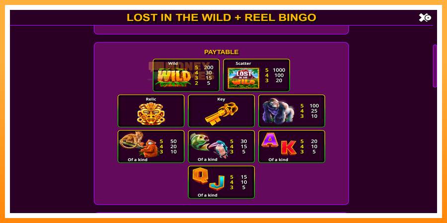 ลองสัมผัสเครื่องดูครับ Lost in the Wild with Reel Bingo, รูปภาพ 6: เล่นเพื่อเงิน