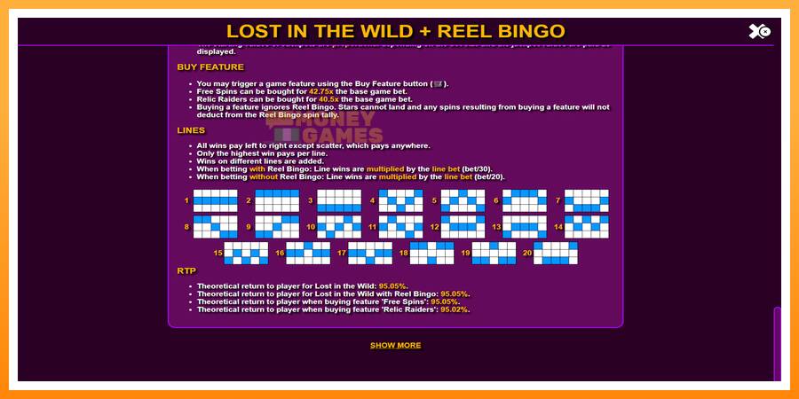 ลองสัมผัสเครื่องดูครับ Lost in the Wild with Reel Bingo, รูปภาพ 7: เล่นเพื่อเงิน