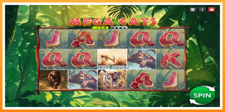 ลองสัมผัสเครื่องดูครับ Mega Cats Mega Reel, รูปภาพ 1: เล่นเพื่อเงิน