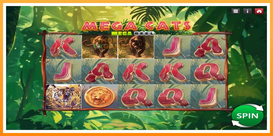 ลองสัมผัสเครื่องดูครับ Mega Cats Mega Reel, รูปภาพ 2: เล่นเพื่อเงิน