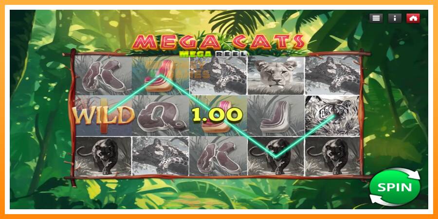 ลองสัมผัสเครื่องดูครับ Mega Cats Mega Reel, รูปภาพ 3: เล่นเพื่อเงิน