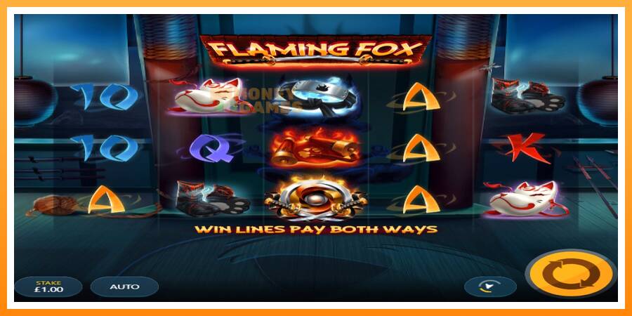 ลองสัมผัสเครื่องดูครับ Flaming Fox, รูปภาพ 1: เล่นเพื่อเงิน