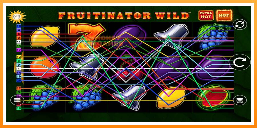 ลองสัมผัสเครื่องดูครับ Fruitinator Wild, รูปภาพ 1: เล่นเพื่อเงิน