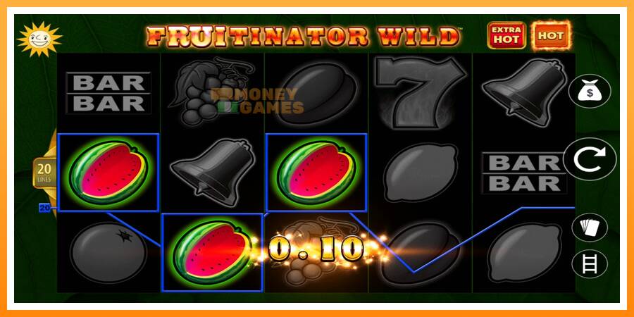 ลองสัมผัสเครื่องดูครับ Fruitinator Wild, รูปภาพ 2: เล่นเพื่อเงิน