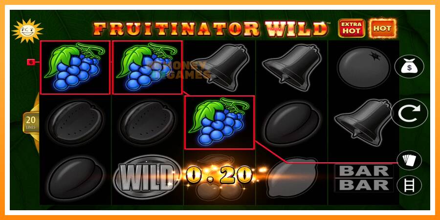 ลองสัมผัสเครื่องดูครับ Fruitinator Wild, รูปภาพ 3: เล่นเพื่อเงิน