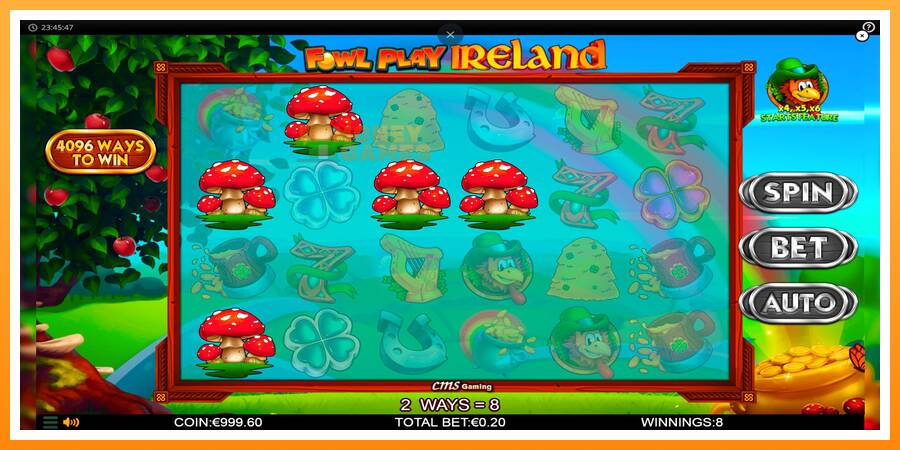 ลองสัมผัสเครื่องดูครับ Fowl Play Ireland, รูปภาพ 2: เล่นเพื่อเงิน