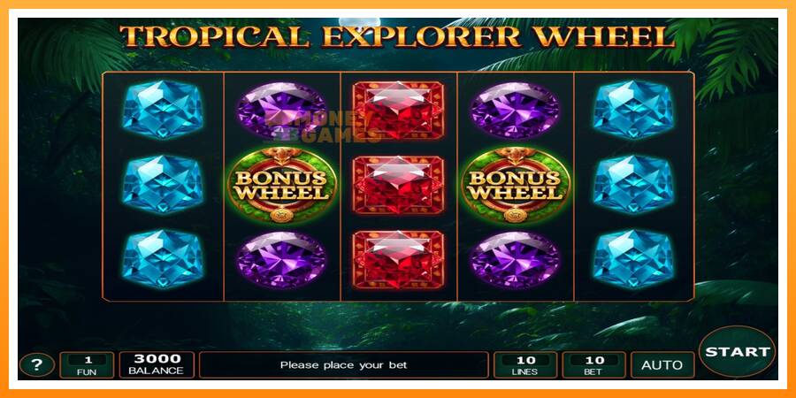 ลองสัมผัสเครื่องดูครับ Tropical Explorer Wheel, รูปภาพ 1: เล่นเพื่อเงิน