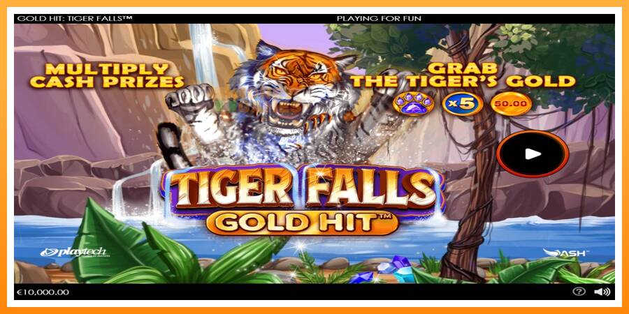 ลองสัมผัสเครื่องดูครับ Gold Hit: Tiger Falls, รูปภาพ 1: เล่นเพื่อเงิน