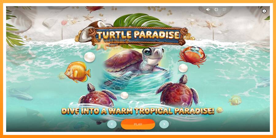 ลองสัมผัสเครื่องดูครับ Turtle Paradise, รูปภาพ 1: เล่นเพื่อเงิน