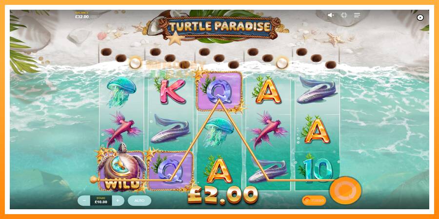 ลองสัมผัสเครื่องดูครับ Turtle Paradise, รูปภาพ 3: เล่นเพื่อเงิน