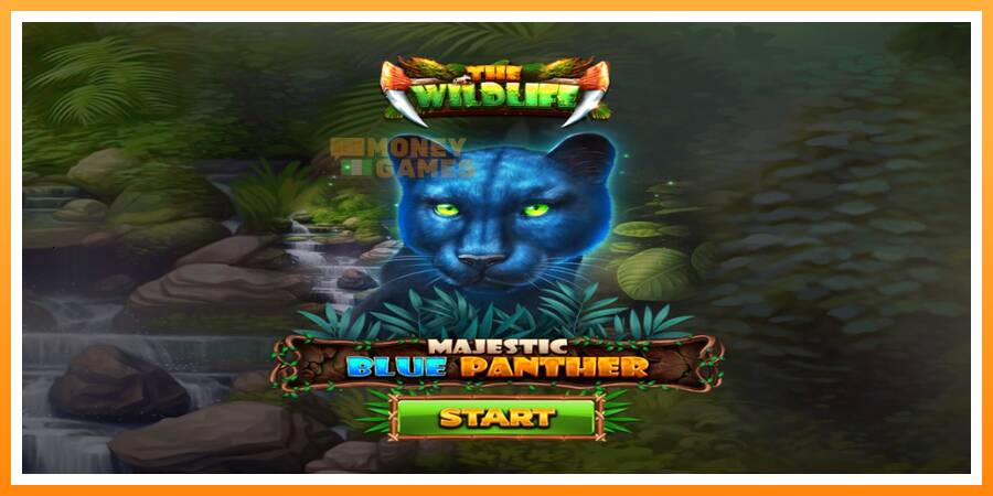 ลองสัมผัสเครื่องดูครับ Majestic Blue Panther, รูปภาพ 1: เล่นเพื่อเงิน