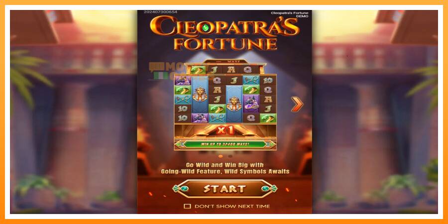 ลองสัมผัสเครื่องดูครับ Cleopatras Fortune, รูปภาพ 1: เล่นเพื่อเงิน