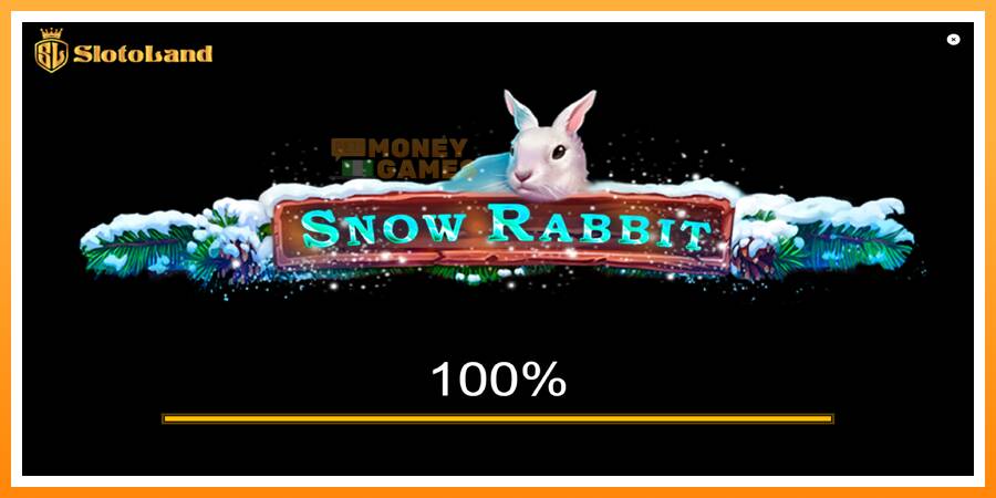 ลองสัมผัสเครื่องดูครับ Snow Rabbit, รูปภาพ 1: เล่นเพื่อเงิน