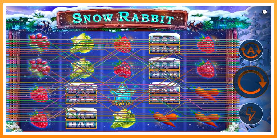 ลองสัมผัสเครื่องดูครับ Snow Rabbit, รูปภาพ 2: เล่นเพื่อเงิน