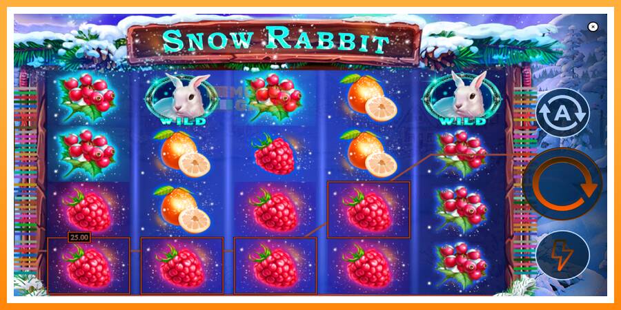 ลองสัมผัสเครื่องดูครับ Snow Rabbit, รูปภาพ 4: เล่นเพื่อเงิน